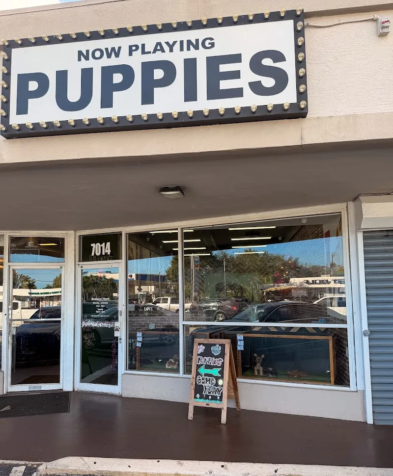 Puppies Direct LLC