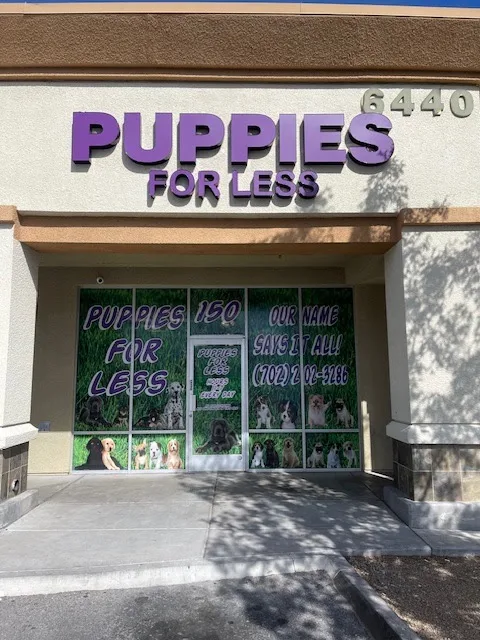 Puppies for less