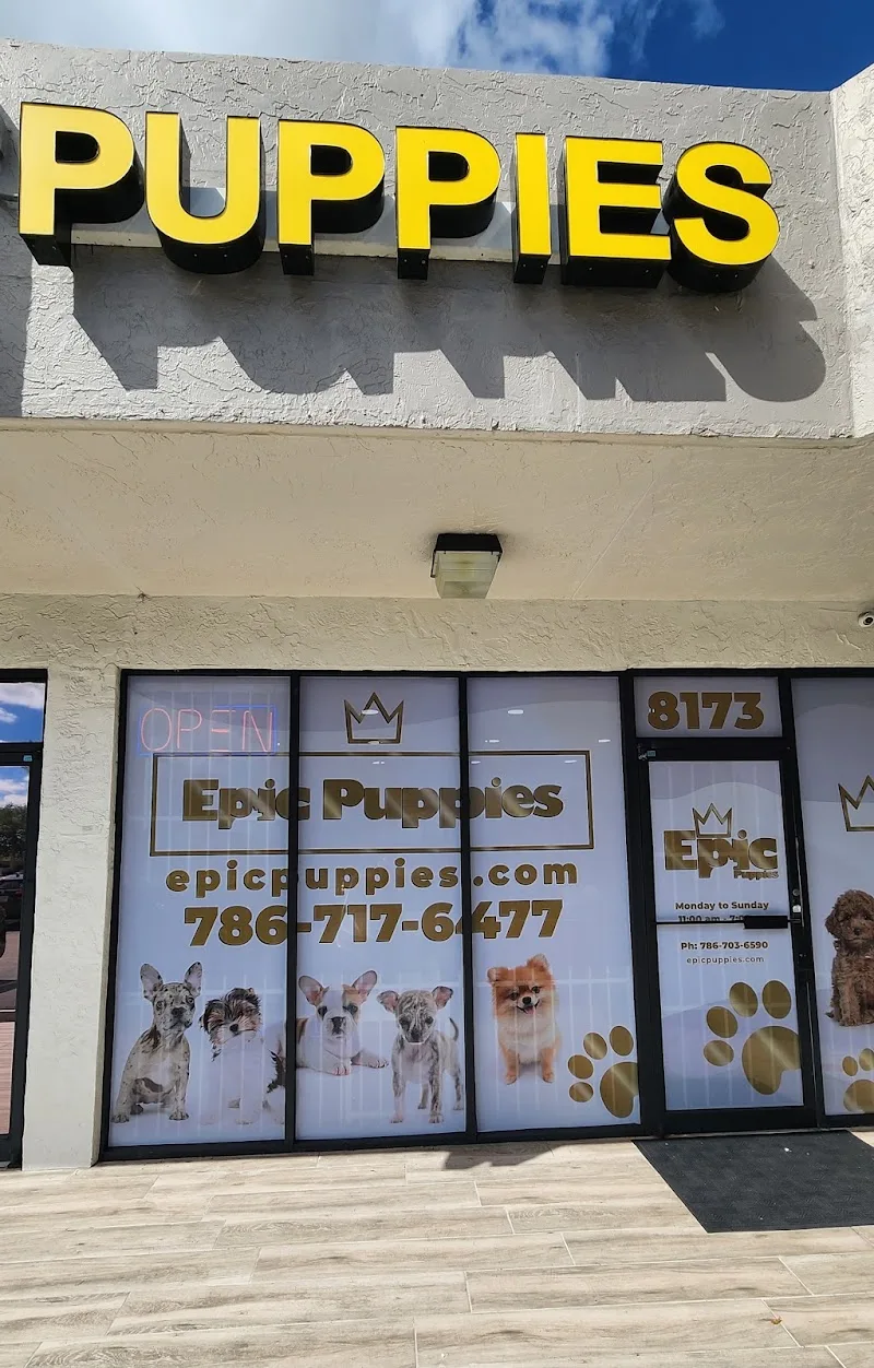 Puppies To Go 2 LLC