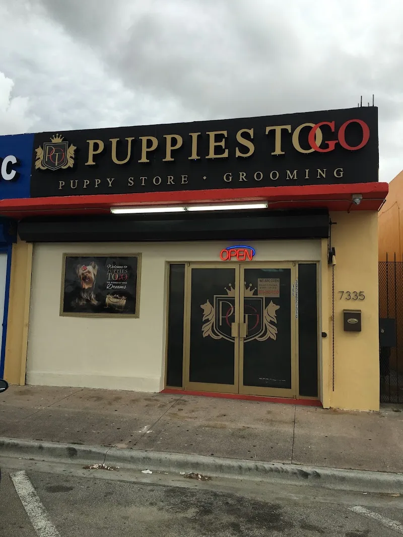 Puppies To Go Llc