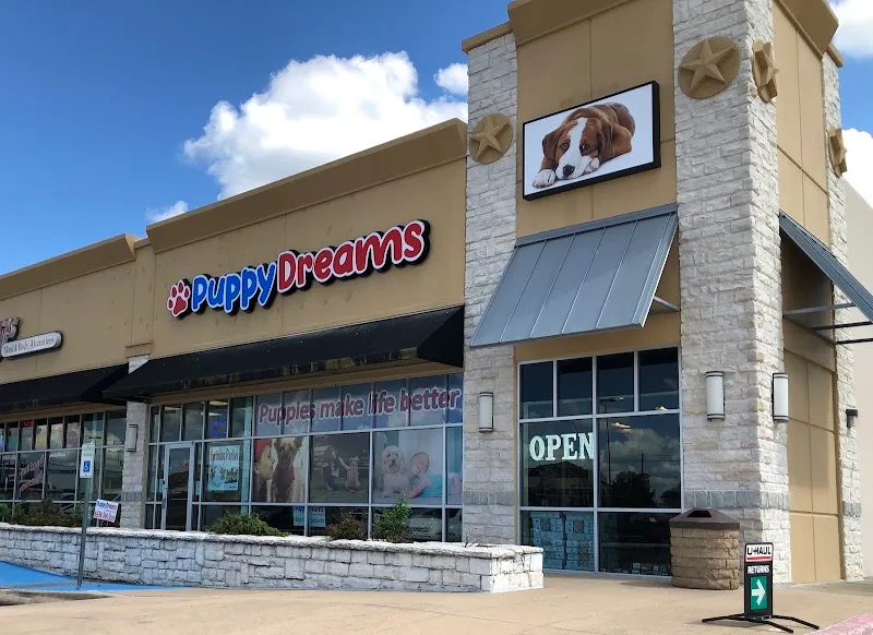 Puppy Dreams LLC