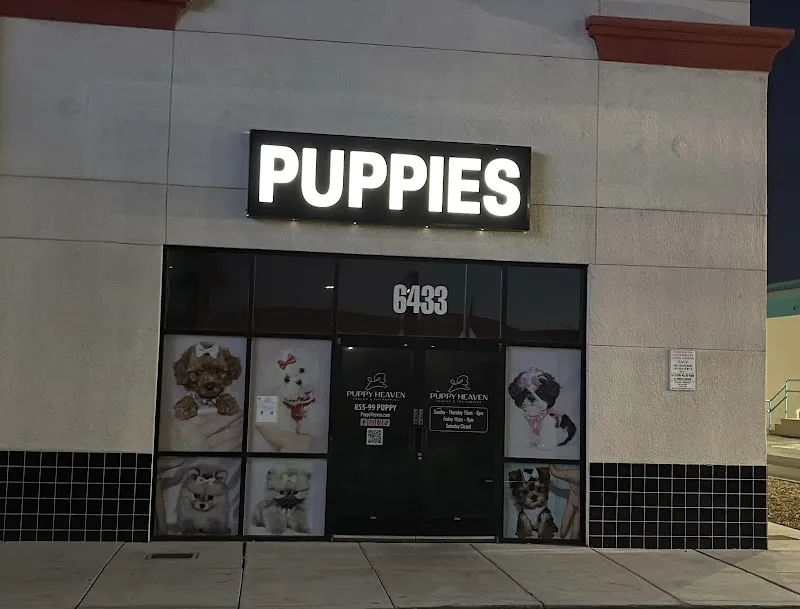 Puppy Heaven Inc