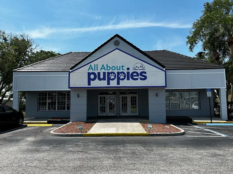 Puppy Kitty Nursery 1 Inc