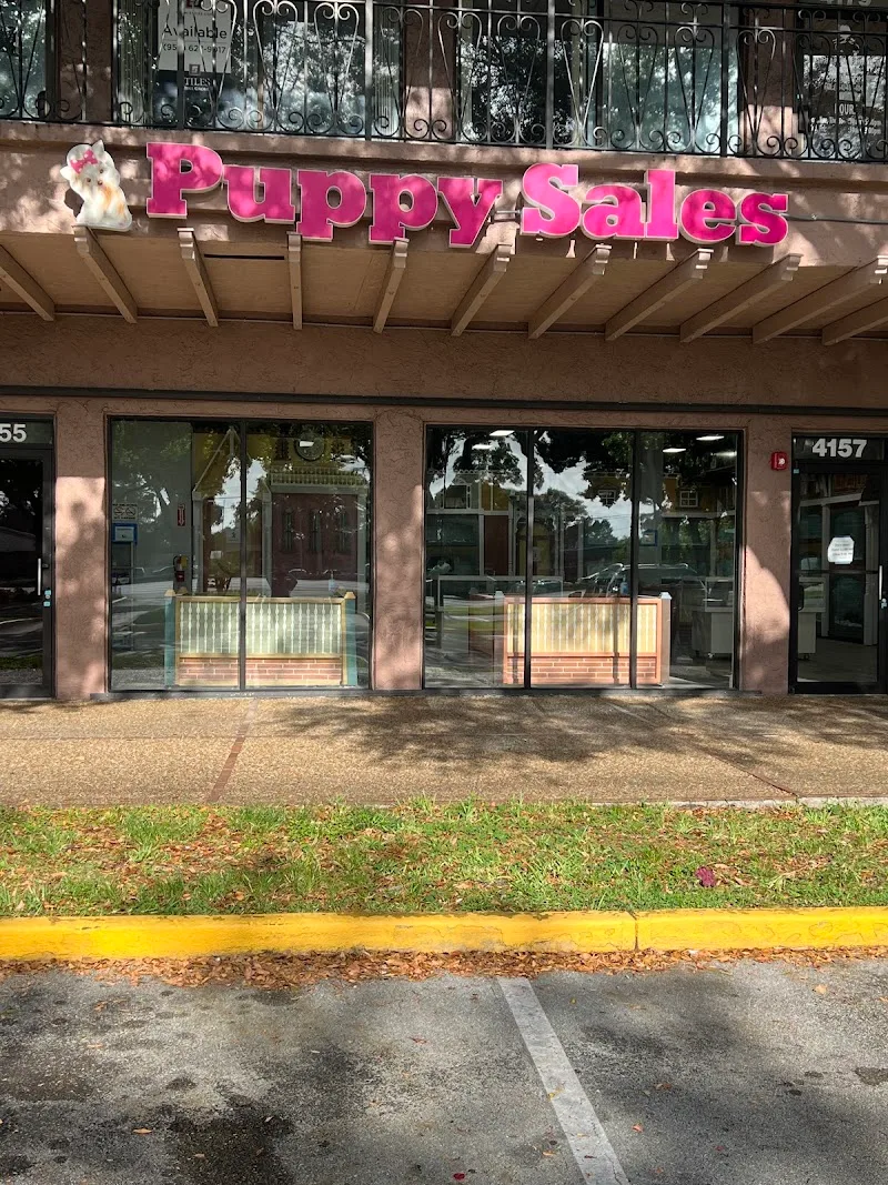 Puppy Univ of Lauderdale Lakes LLC (TF)