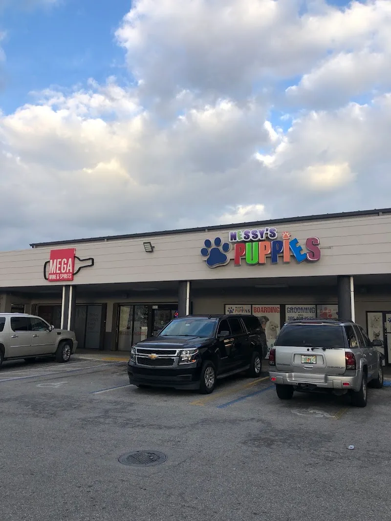 Puppy Universe of Kendall LLC (TF)