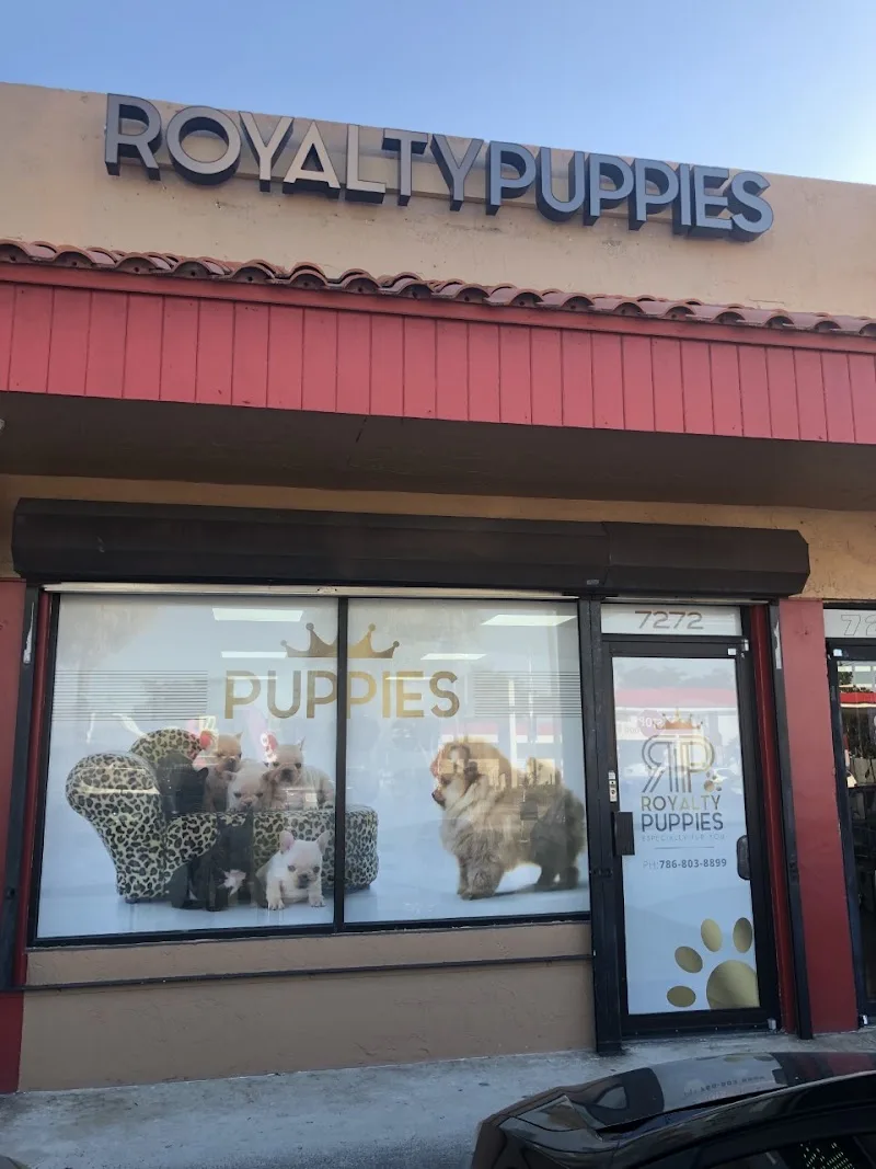 Royalty Puppies LLC