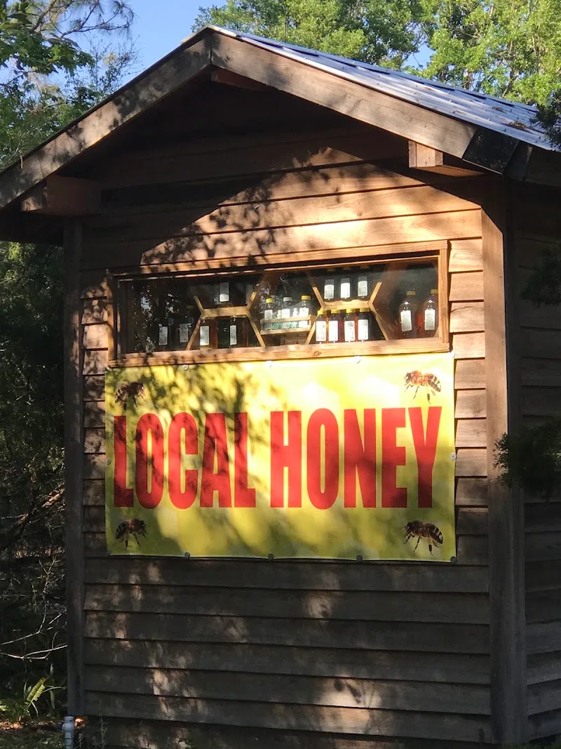 S And A Honey Live Global Inc