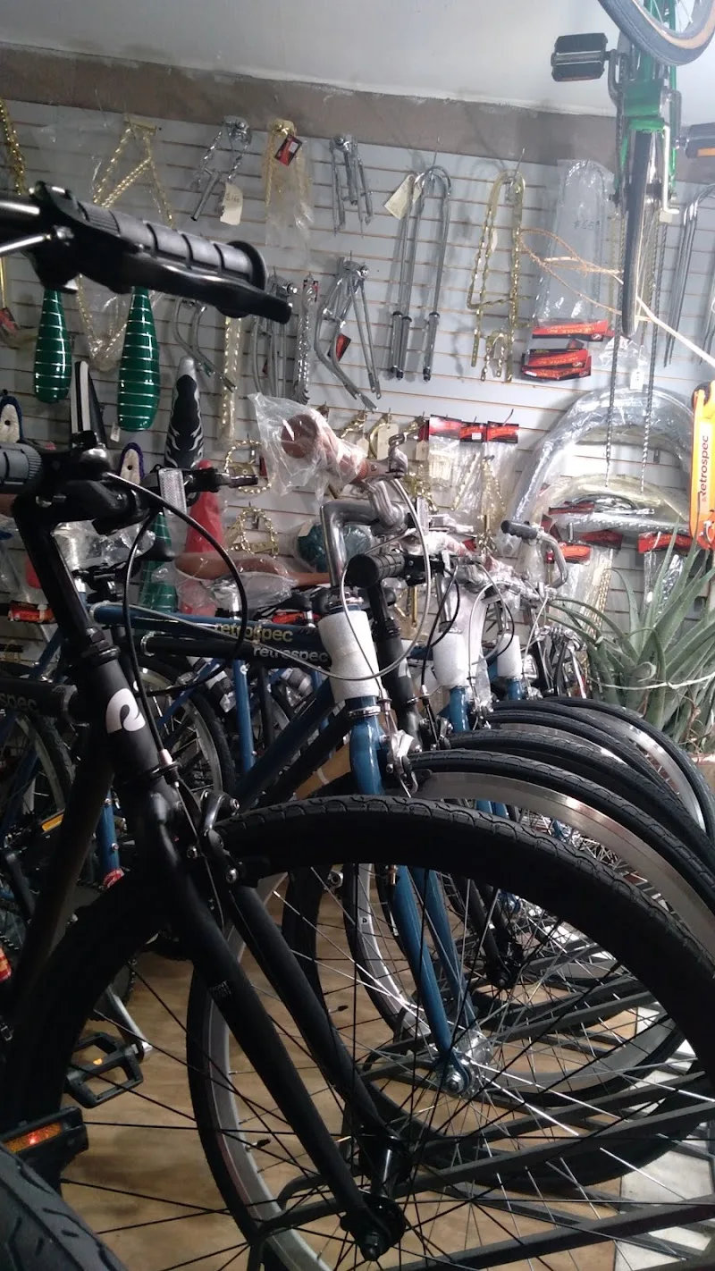 Sanchez Bike Shop - Kedzie