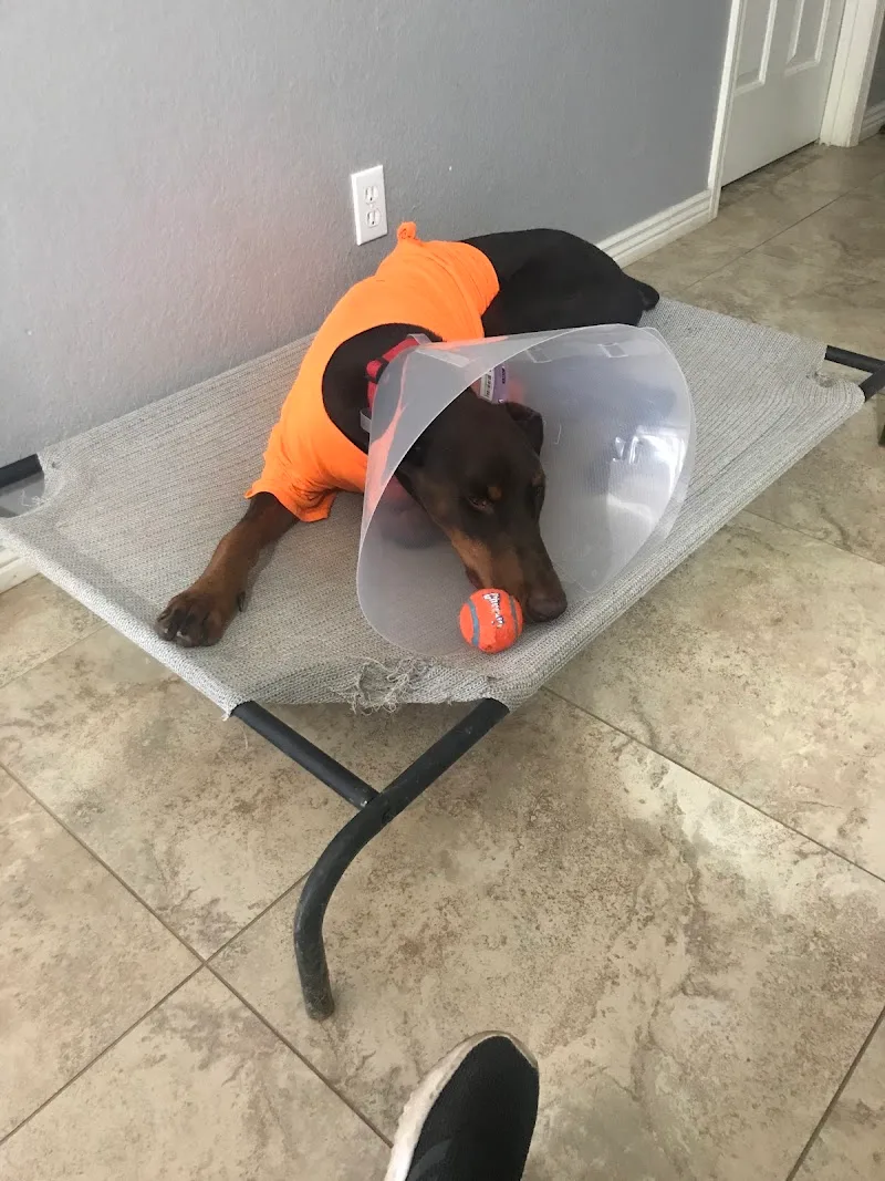 Santis Pet Clinic PC