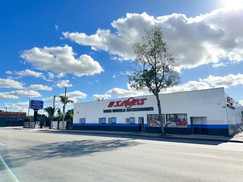 Savas EZ Inc