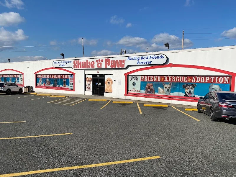 Shake A Paw Franchising Inc