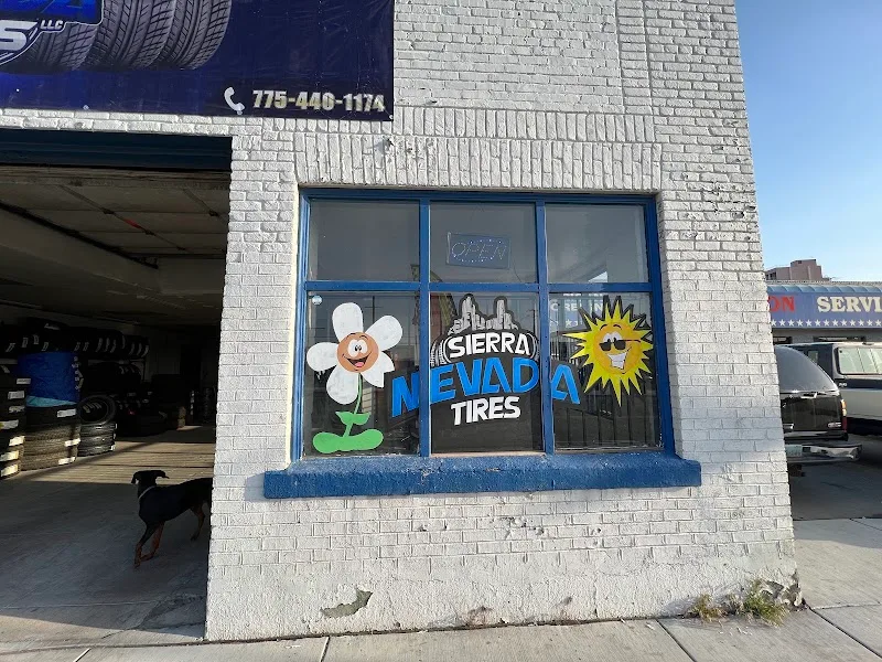 Sierra Nevada Tires LLC