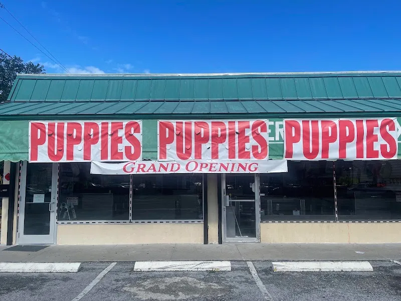 Sunshine Puppies Two LLC