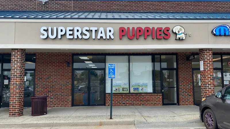 Superstar Puppies