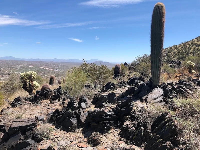 SWEC Black Mountain