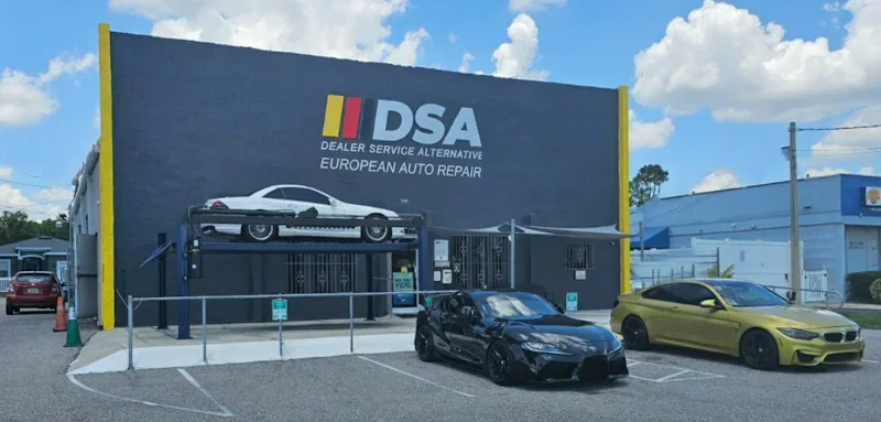 The Dealer Service Alternative Inc