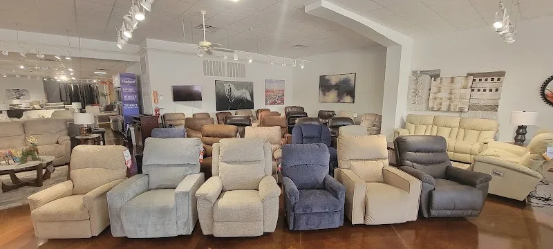 The Furniture Zone Inc (FA)