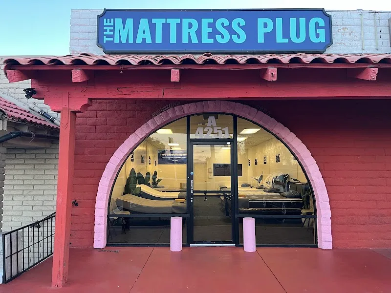 The Mattress Plug LLC