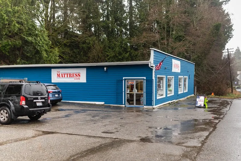 The Mattress Store LLC