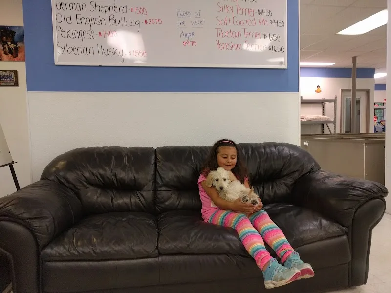 The Perfect Puppy Scituate