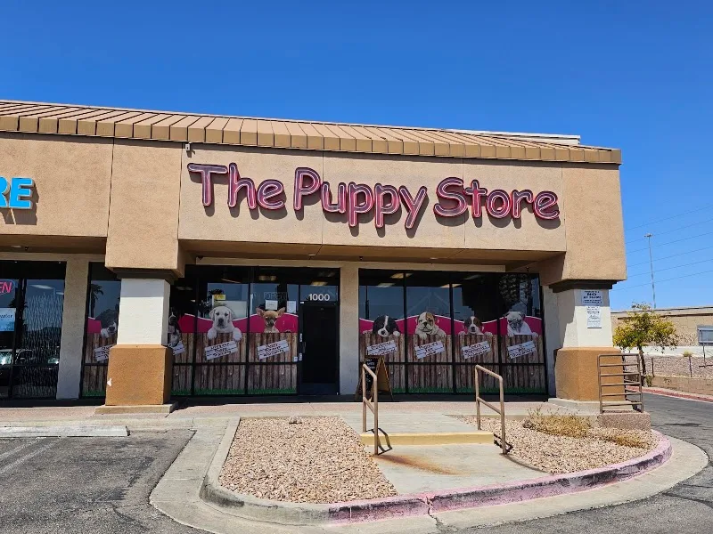 The Puppy Store Las Vegas LLC