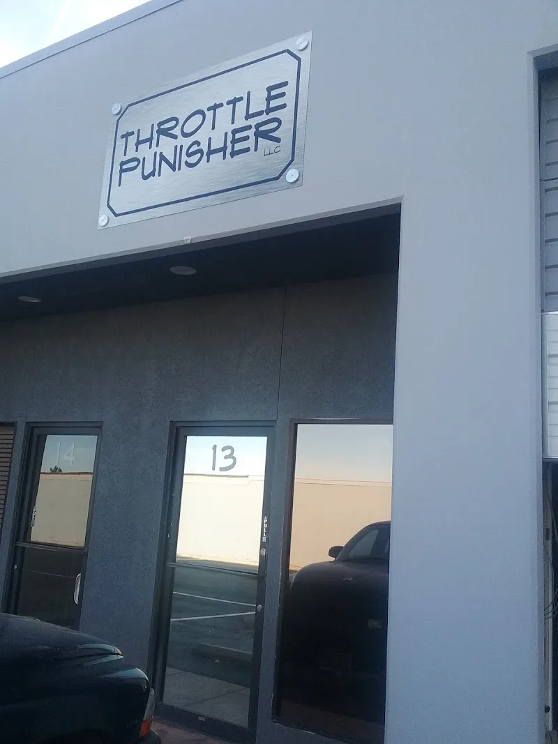 Throttle Punisher LLC