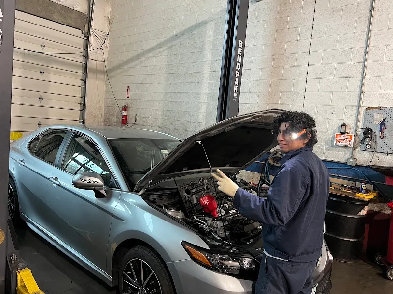 TLC Auto Service LLC (LP)