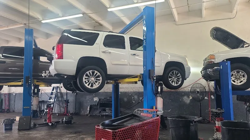 TLS 954 Transmission Repair Inc
