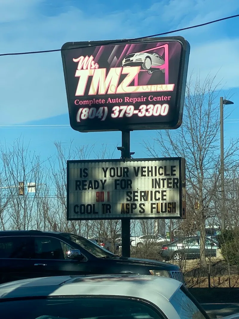 TMZ Auto LLC