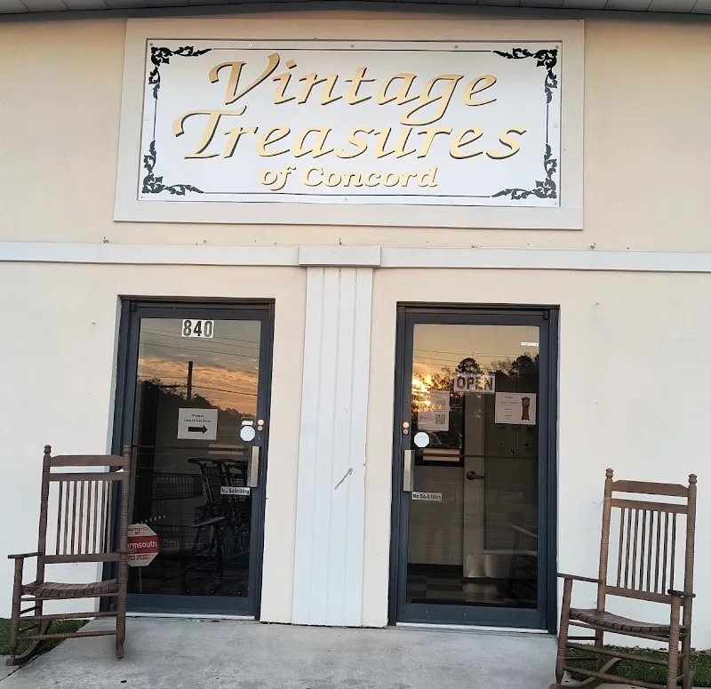 Treasures of GA USA LLC