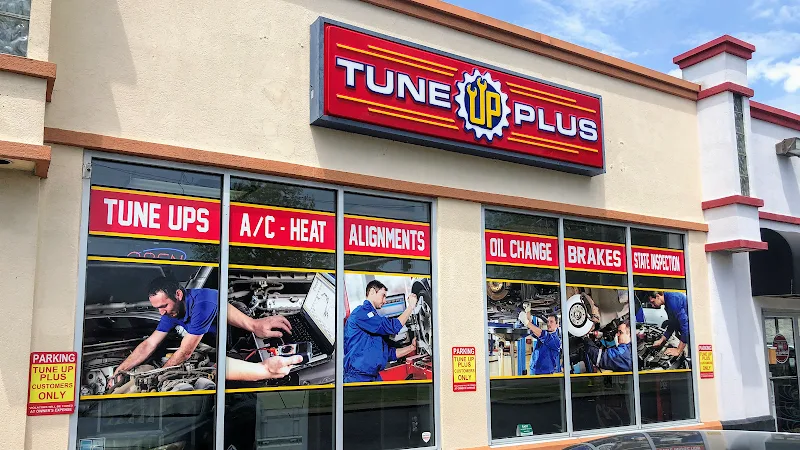 Tune UP Plus - Norfolk
