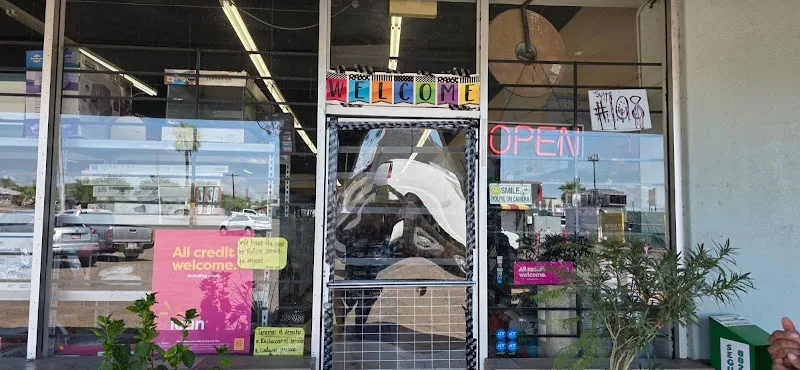 Tweety Brother Gil Pet Shop LLC