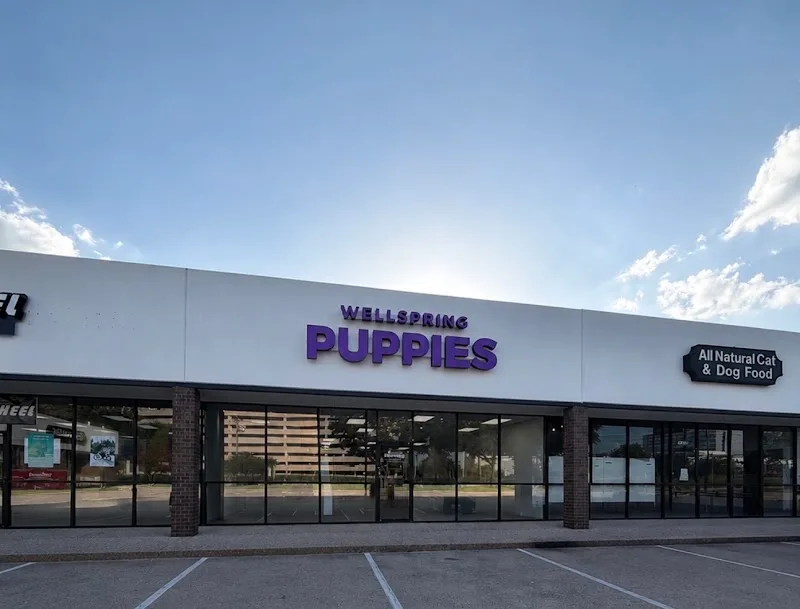 Wellspring Puppies LLC (TF)