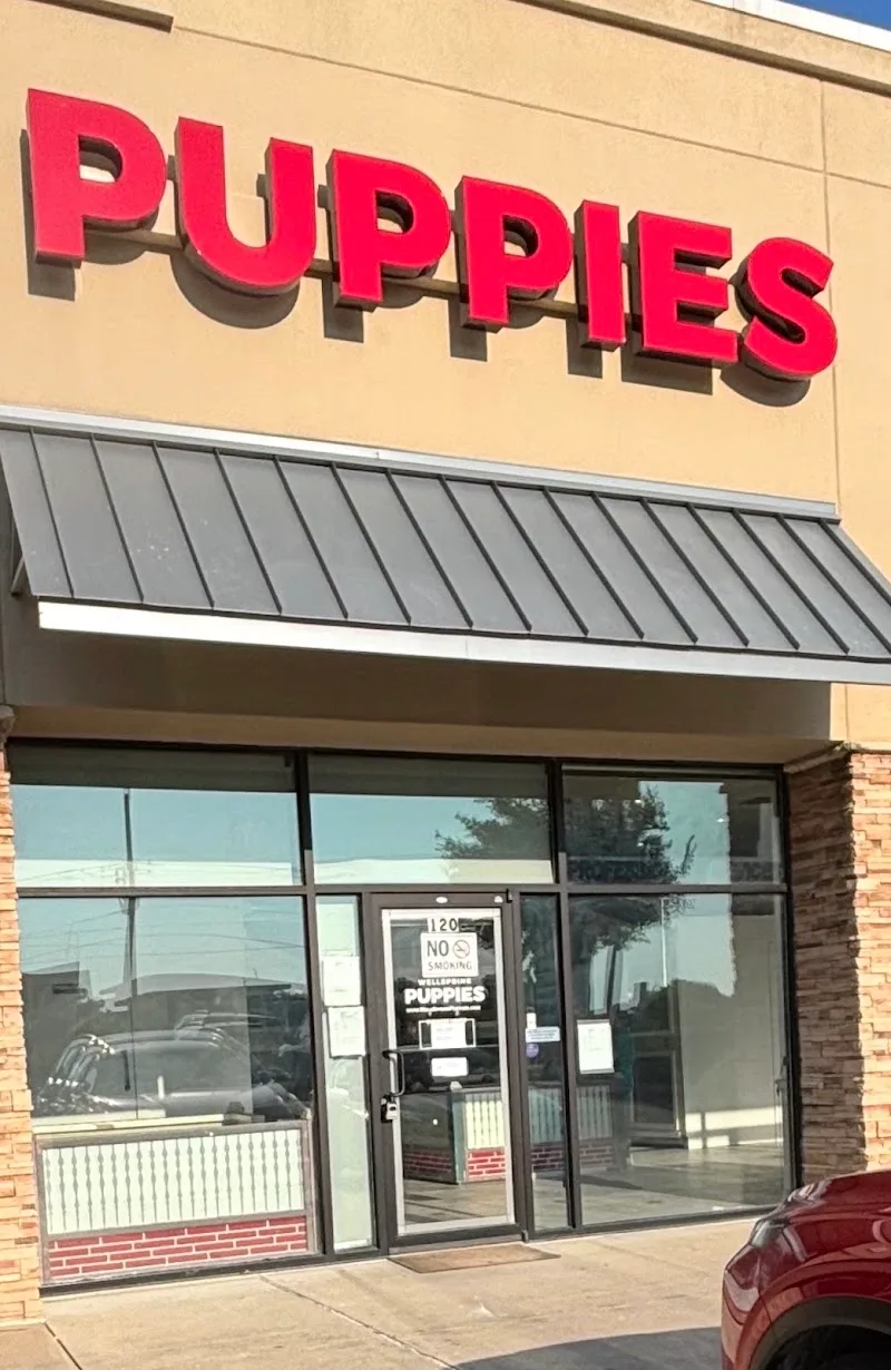 Wellspring Puppies LLC (TF)