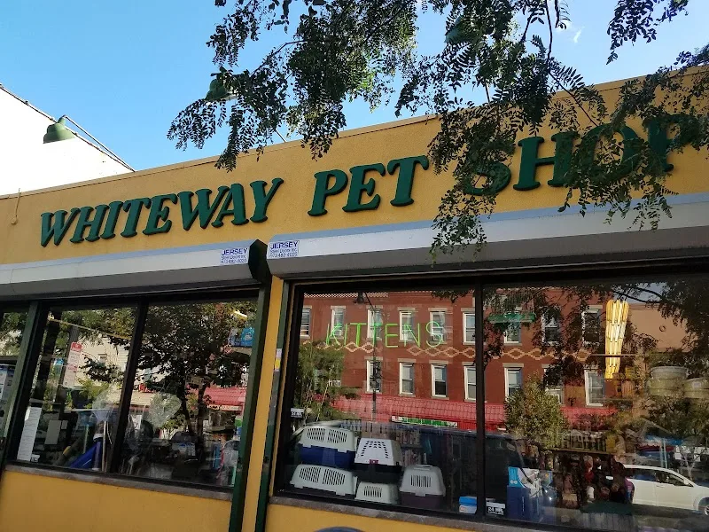 Whiteway Pet Shop Inc