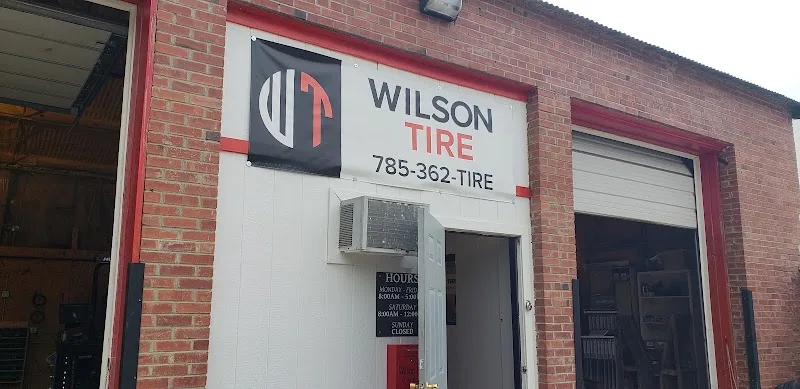 Wilsons Direct Inc