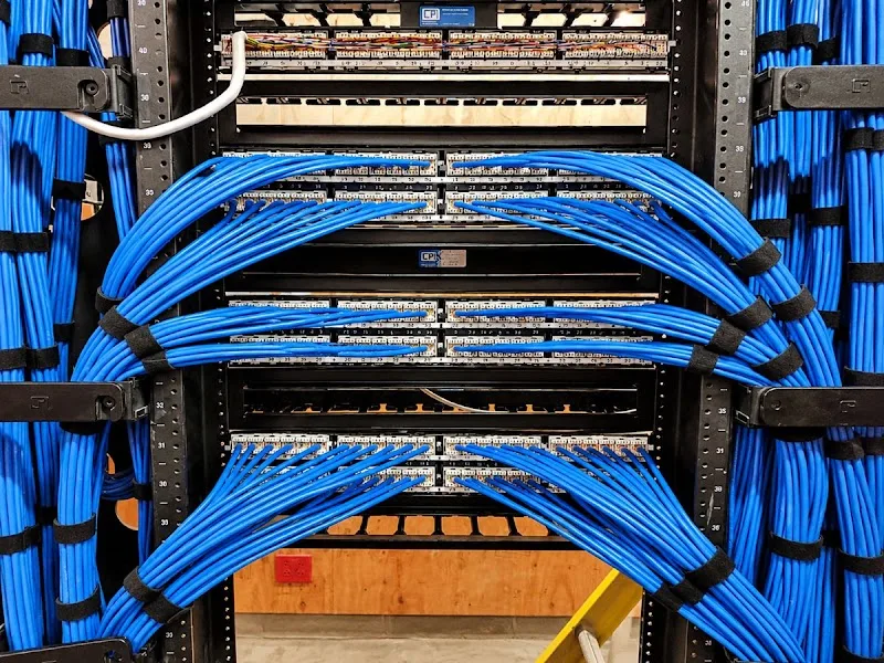 Wired World LLC