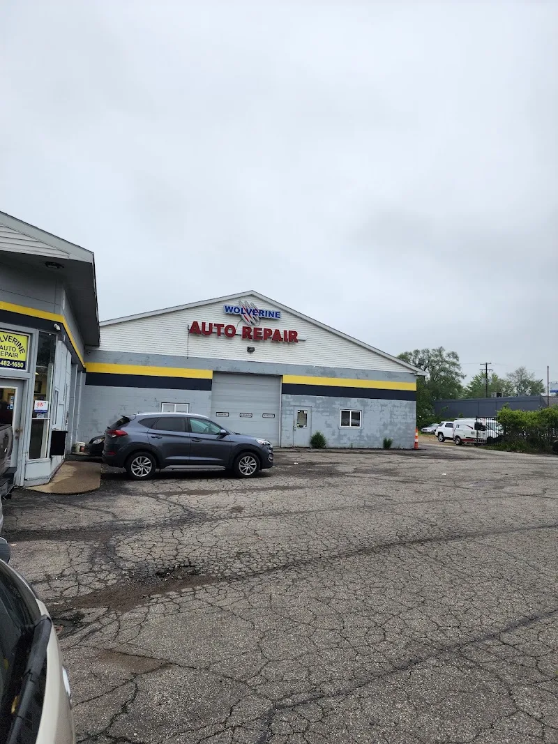 Wolverine Auto Repair LLC