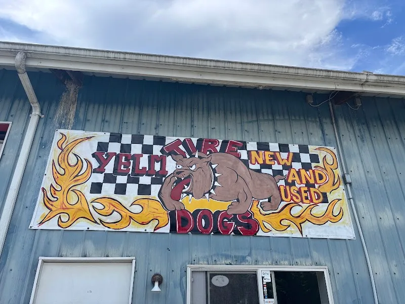 Yelm Tire Dogs