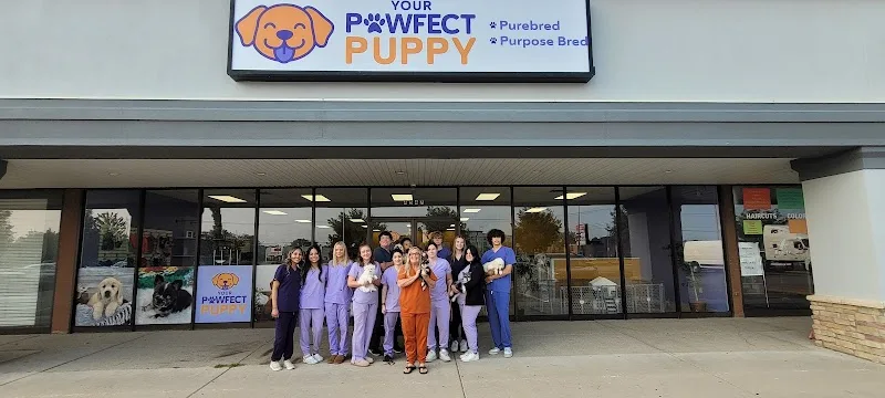 Your Pawfect Puppy LLC (FP)